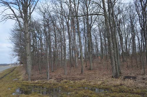 Property photo 34 - 98+/- Acres Offered in 6 Tracts or Combinations, Noble County, Indiana Farm